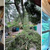 Tree Slams Through Maryland Teen’s Room — Now He’s Raising Funds For His Family (PHOTOS)
