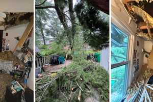 Tree Slams Through Maryland Teen’s Room — Now He’s Raising Funds For His Family (PHOTOS)