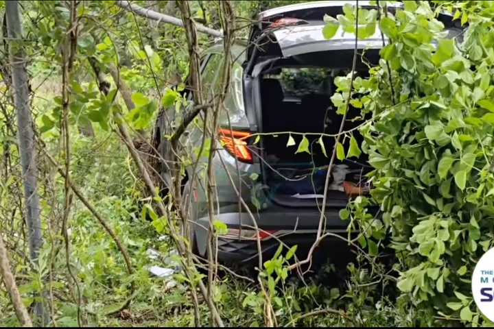 VIDEO: Driver Rescued After Car Plunges Into Woods In Chestnut Ridge