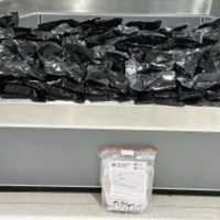 Nearly Half-Ton Of Psychedelic Drug Bound For Maryland Seized In Baltimore: CBP