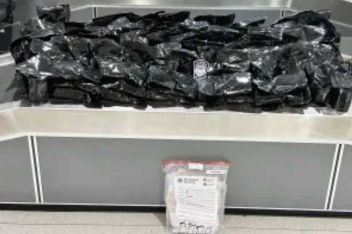 Nearly Half-Ton Of Psychedelic Drug Bound For Maryland Seized In Baltimore: CBP