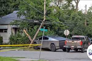 Tesla Cybertruck Crashes In Hudson Valley, Snaps Utility Pole In Two
