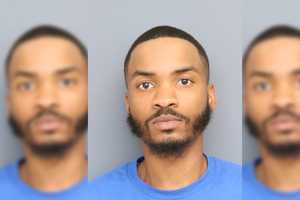 Dog Shot Dead With AR-15 During Neighborhood Dispute In Maryland, Sheriff Says