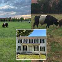 Feds Join Fight To Save 175-Year-Old NJ Family Farm From Bulldozers: 'Not For Sale'