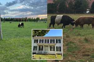 Feds Join Fight To Save 175-Year-Old NJ Family Farm From Bulldozers: 'Not For Sale'