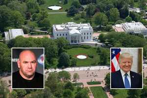 Trump Wants UFC Cage Fight On White House Lawn For America’s 250th