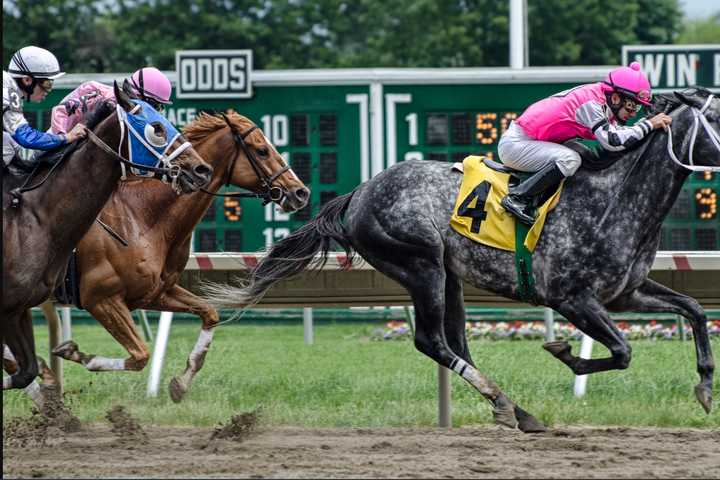 Escaped Racehorse Seen Galloping Down Route 36 (VIDEO)