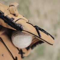 Baseball Coach, Wife Accused Of Giving Booze To Minors In York County: DA