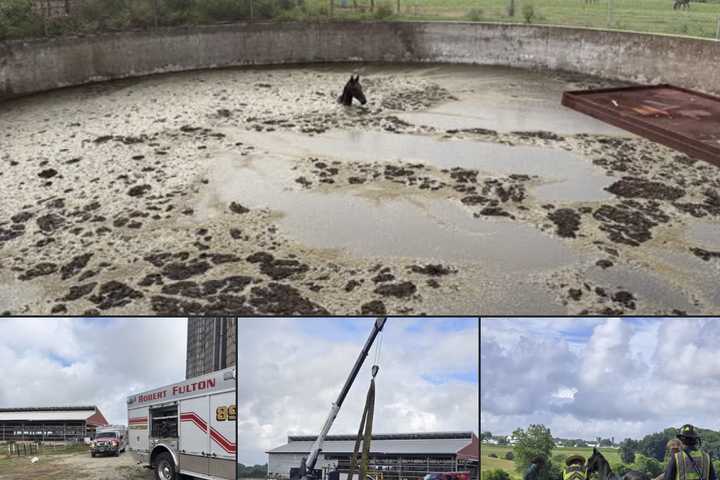 Horse Rescued From Manure Pit In Lancaster County After Fire Company’s Training Pays Off