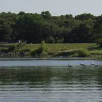 Rowing Coach Finds NJ Tesla Driver Dead, Submerged In PA Lake: Coroner