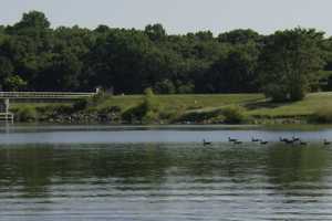 Rowing Coach Finds NJ Tesla Driver Dead, Submerged In PA Lake: Coroner