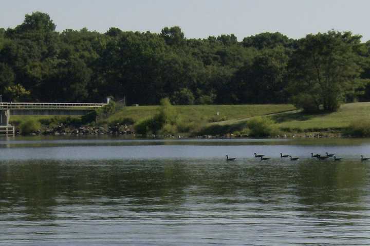 Rowing Coach Finds NJ Tesla Driver Dead, Submerged In PA Lake: Coroner
