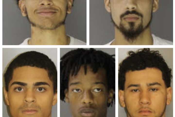 'Ambush-Style' Backyard Stabbing Leaves Alex Camacho Dead In Coatesville, Five Charged: DA