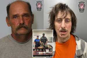 K9 Sniffs Out Fentanyl, Cocaine In Virginia Traffic Stop After Baltimore Drug Run: Police