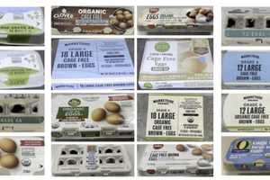 NJ Recall Linked To Deadly Salmonella Egg Outbreak Tied To CA Supplier At Center Of DOJ Lawsuit