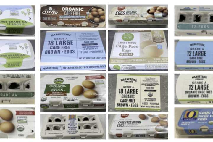 NJ Recall Linked To Deadly Salmonella Egg Outbreak Tied To CA Supplier At Center Of DOJ Lawsuit