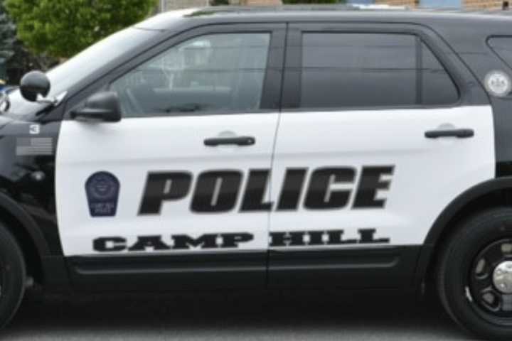 Camp Hill Man Tries To Disarm Officer During Welfare Check, Police Say