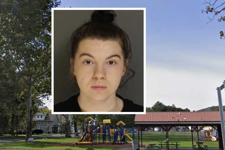 Pregnant PA Teen Beaten In Park, Starving Flea-Covered Puppies Found In Apartment: Affidavit