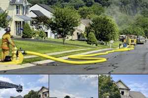 Fire Kills Two Cats, Injures Firefighter In York County: Officials
