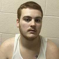 PA Teen Playing With Cat Using Gun Shoots Himself, Police Say