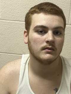 PA Teen Playing With Cat Using Gun Shoots Himself, Police Say