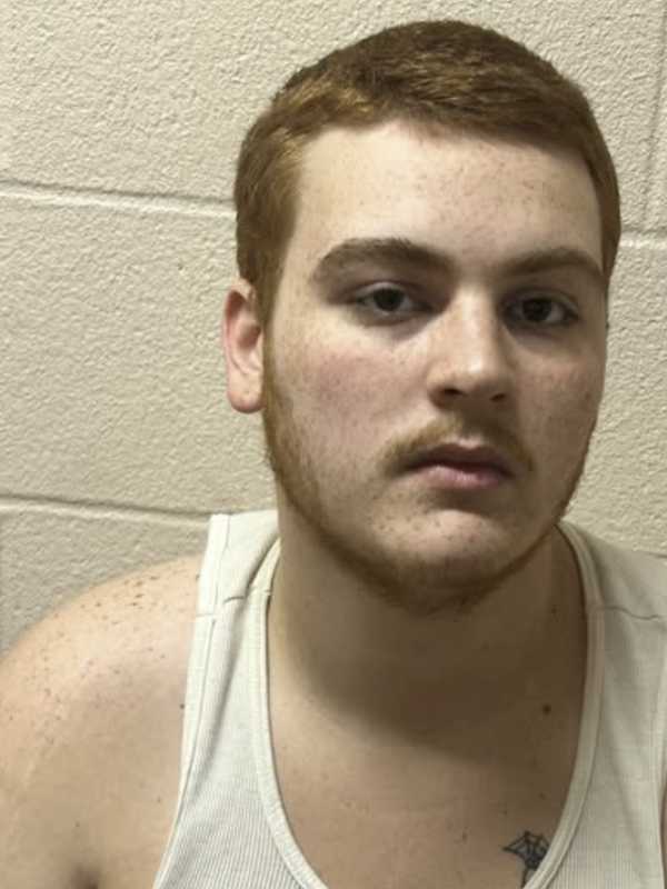 PA Teen Playing With Cat Using Gun Shoots Himself, Police Say
