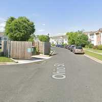 ‘Organs’ Found Near Maryland Dumpster Spark Police Scare (DEVELOPING)