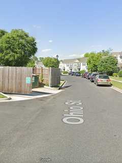 ‘Organs’ Found Near Maryland Dumpster Spark Police Scare (DEVELOPING)