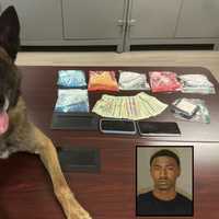 <p>Donta Shawn Allen was busted by a police K9
  
</p>