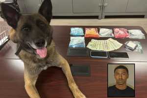 K9 Sniffs Out 13 Ounces Of Cocaine During Maryland Traffic Stop: Sheriff