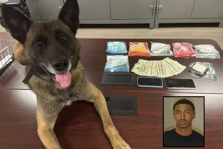 K9 Sniffs Out 13 Ounces Of Cocaine During Maryland Traffic Stop: Sheriff