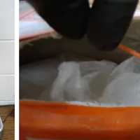 130 Pounds Of Ketamine Worth $1.8M Bound For Florida Stopped At Area Port: CBP