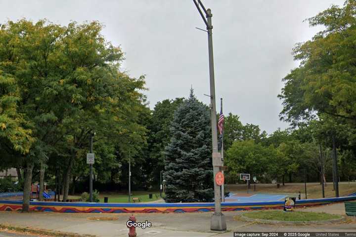 Shooting At Crowded Park Leads To Duo's Arrest In NY, Police Say