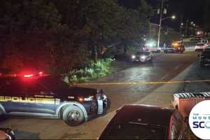 Shots Fired Into Spring Valley Apartment: Police Seek Witnesses