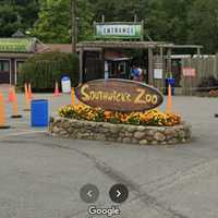 It’s A Bird! It’s A Plane! Nope, It’s A Stuck Mass Zoo Ride That Left Guests Dangling