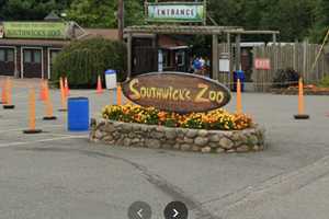 It’s A Bird! It’s A Plane! Nope, It’s A Stuck Mass Zoo Ride That Left Guests Dangling