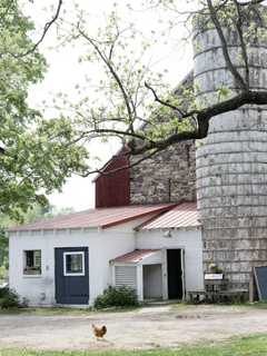 6 Girls Sexually Abused In PA Farm Basement, Barn: Affidavit