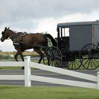 Horse And Buggy Crash With Pickup Hospitalizes Teens, Toddler Rescued: PA State Police