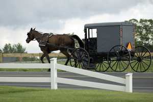 Horse And Buggy Crash With Pickup Hospitalizes Teens, Toddler Rescued: PA State Police