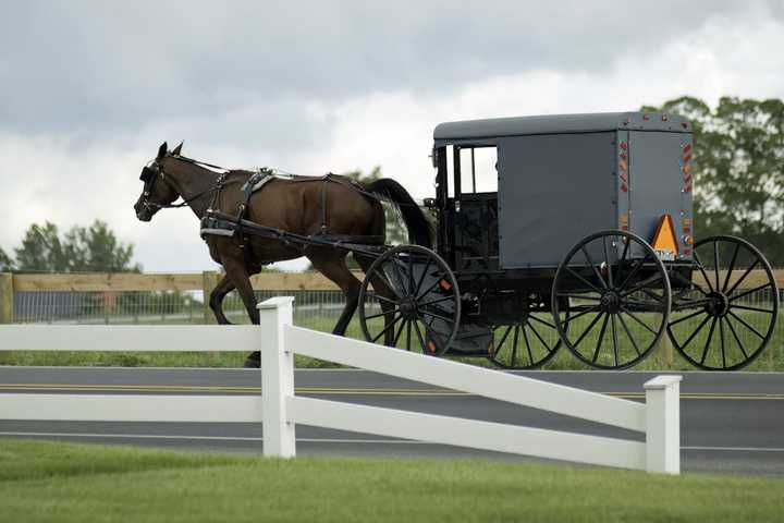 Horse And Buggy Crash With Pickup Hospitalizes Teens, Toddler Rescued: PA State Police