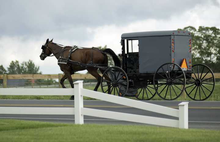 A horse and buggy