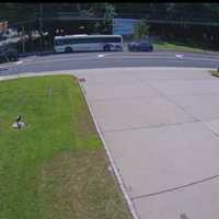 DWI Driver Crashed Into NJ Transit Bus, Two Injured: Verona Police (VIDEO)