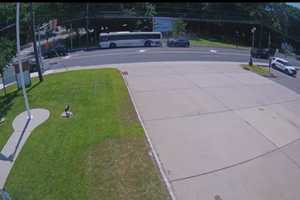 DWI Driver Crashed Into NJ Transit Bus, Two Injured: Verona Police (VIDEO)