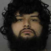 Fatal Injury To Puppy, Assault Of Woman Leads To PA Man’s Arrest: Police
