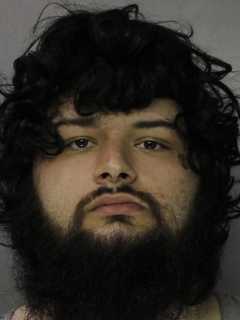 Fatal Injury To Puppy, Assault Of Woman Leads To PA Man’s Arrest: Police