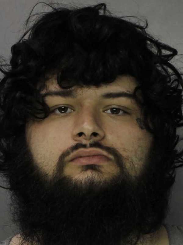 Fatal Injury To Puppy, Assault Of Woman Leads To PA Man’s Arrest: Police