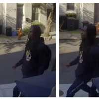 Serial Sexual Assaults Terrorize Philadelphia Women; Suspect At Large: Police