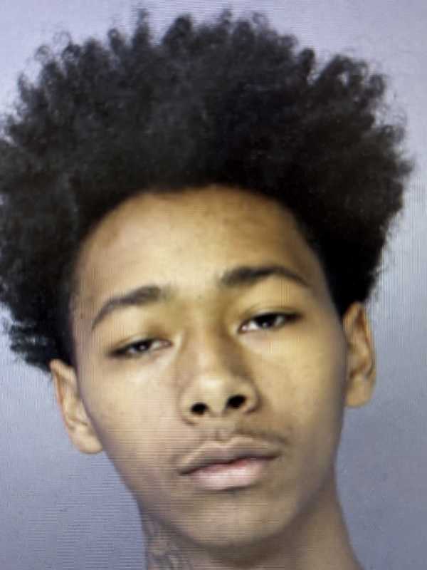 11 Guns Stolen In Burglary With Subaru Stolen; Dauphin County Teen Confesses: Police