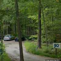 Swastika Found Carved Into Tree At Nature Preserve In Yorktown: 'Profoundly Offensive'