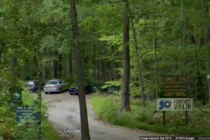Swastika Found Carved Into Tree At Nature Preserve In Westchester: 'Profoundly Offensive'